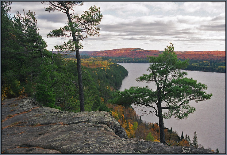 photo "Algonquin PP (10)" tags: landscape, travel, North America, forest