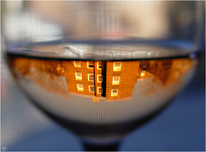 photo "Life on the Bottom of the Glass" tags: macro and close-up, abstract, 