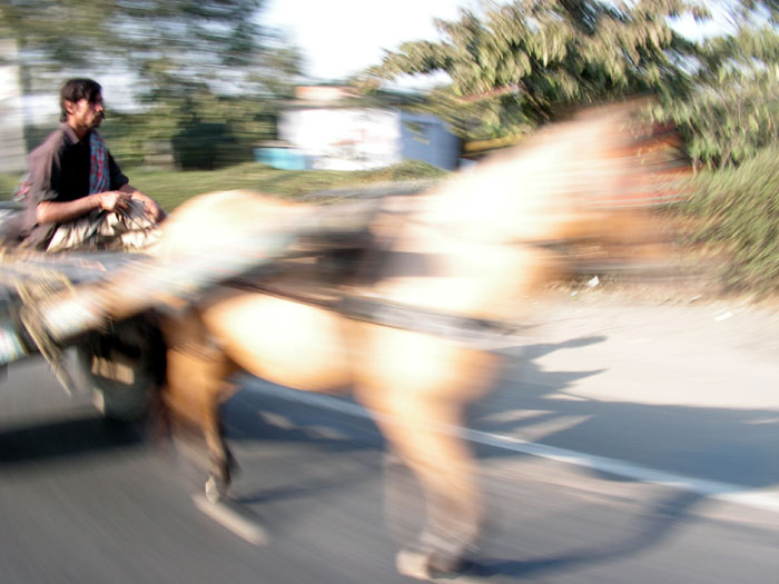 фото "on move" метки: путешествия, техника, Азия