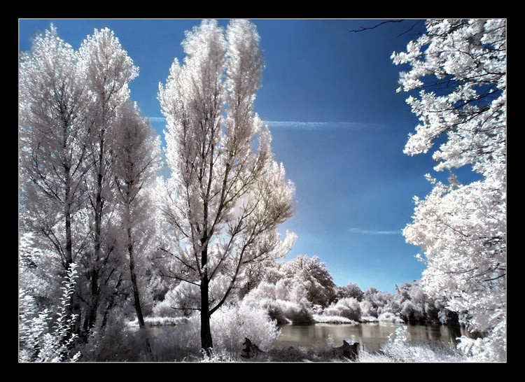 фото "***" метки: пейзаж, 