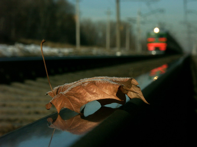 photo "nobody needs me" tags: genre, nature, 