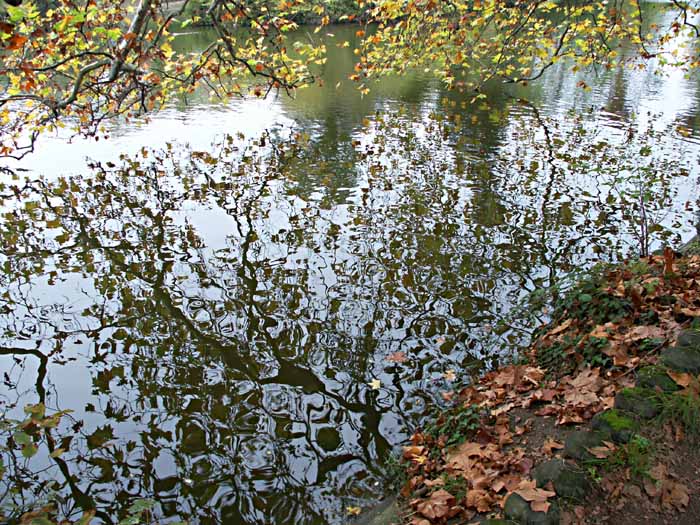 фото "***" метки: пейзаж, вода