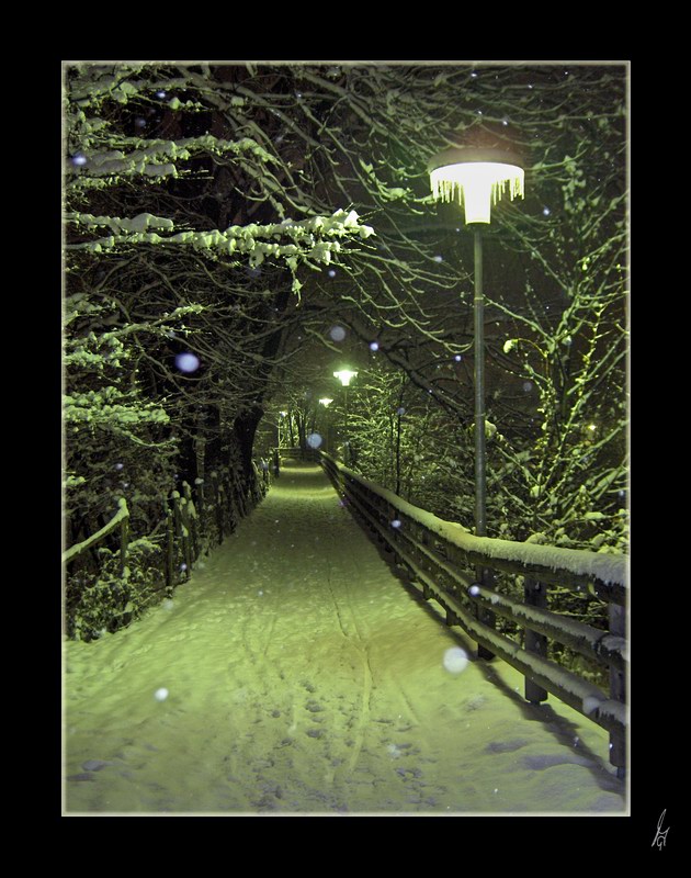 photo "first snow" tags: landscape, 