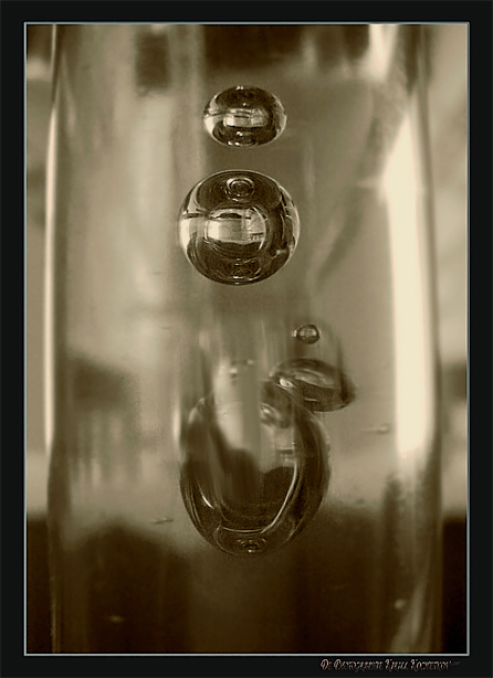 photo "Drop in a drop" tags: genre, macro and close-up, 