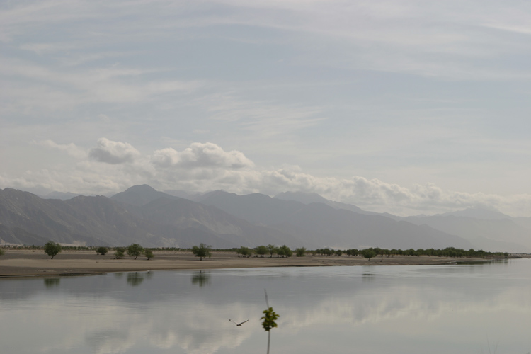 photo "tibet series" tags: , 