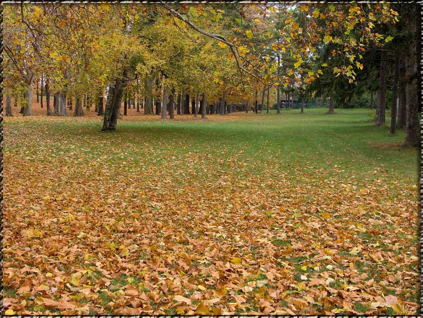 фото "Пышное природы увяданье..." метки: пейзаж, осень