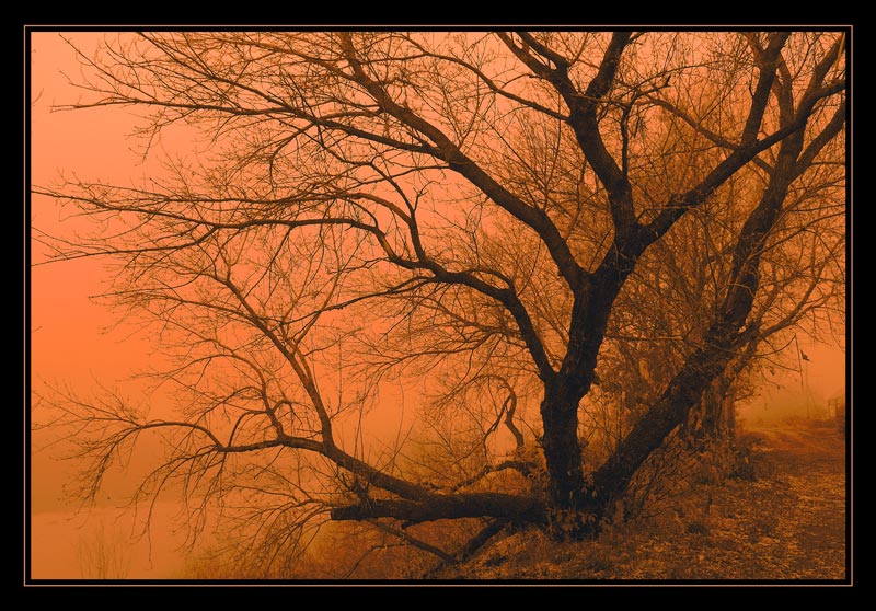 фото "psychographics # 2" метки: черно-белые, 