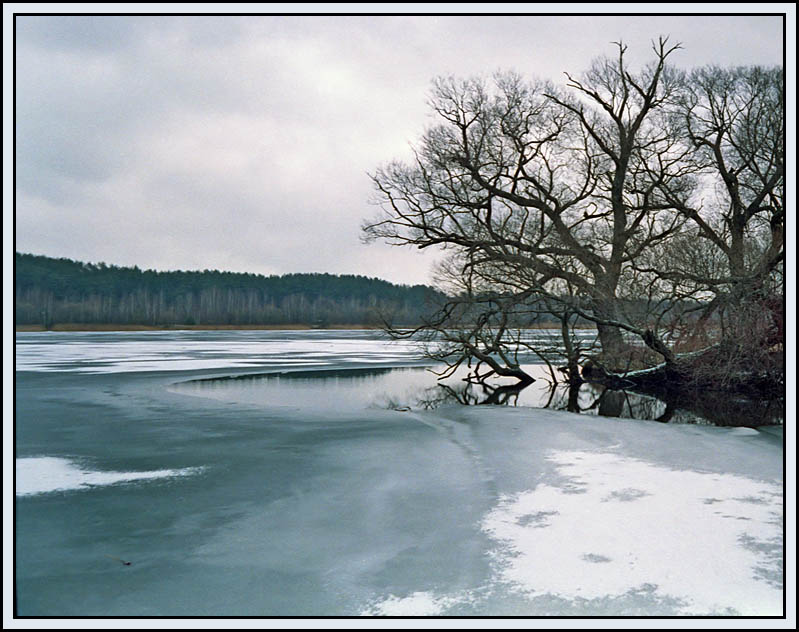 фото "Поздняя осень" метки: пейзаж, зима, осень