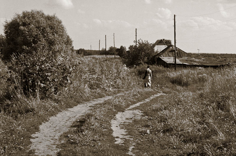 photo "The home-coming" tags: landscape, genre, 