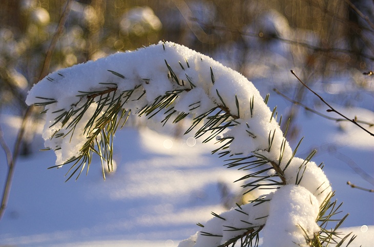 photo "Winter" tags: landscape, nature, winter