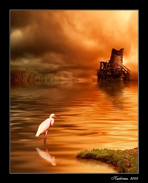 photo "Red Planet" tags: landscape, water