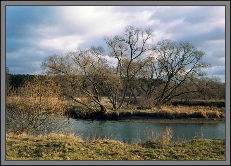 photo "Sun late fall" tags: landscape, autumn