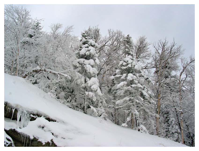 фото "Snow paradise" метки: пейзаж, горы, зима
