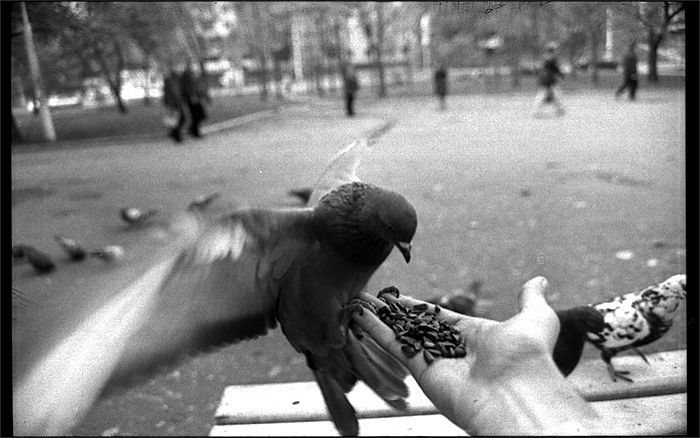 фото "no word" метки: жанр, черно-белые, 