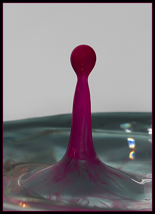 photo "Red drop" tags: macro and close-up, 