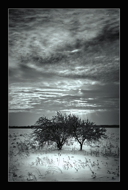 photo "monogamy" tags: black&white, landscape, clouds