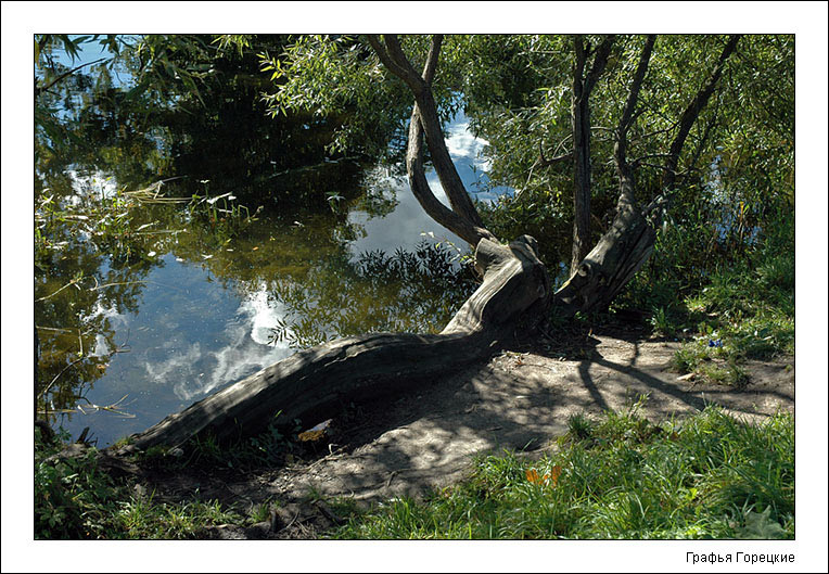 photo "Wooden" tags: landscape, autumn