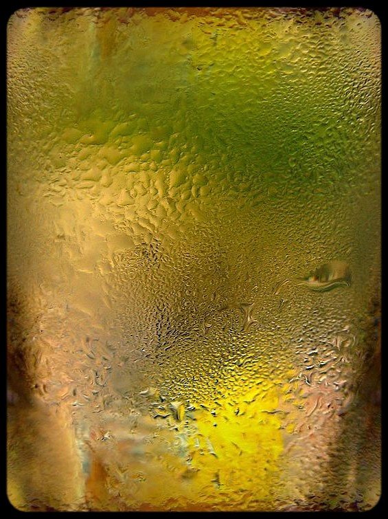 photo "beer" tags: macro and close-up, 