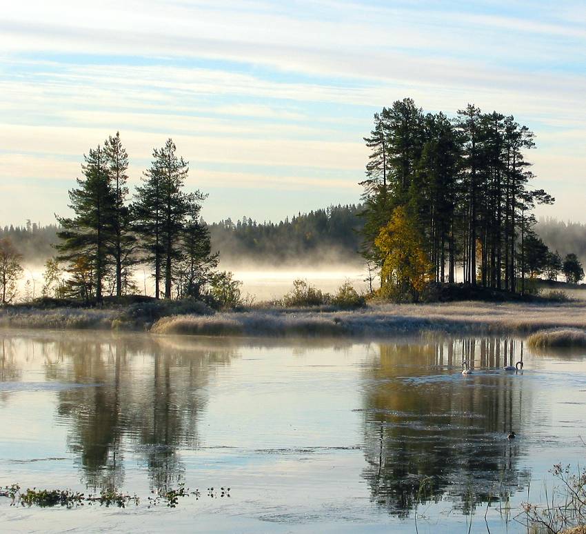 фото "Morning" метки: пейзаж, вода, осень