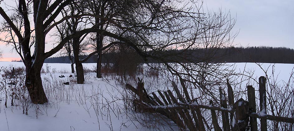 photo "Old garden" tags: landscape, winter