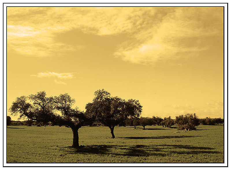 photo "Shadows on prairie" tags: landscape, 