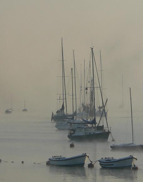 photo "Yachts - November morning" tags: landscape, water