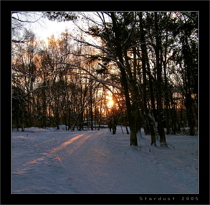 фото "Evening Walk in the Park" метки: пейзаж, закат, зима
