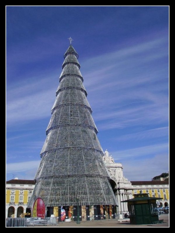 photo "Noel tree" tags: architecture, landscape, 