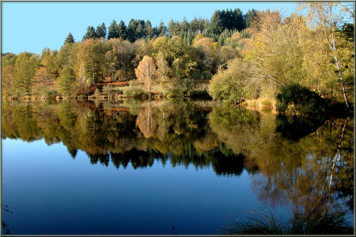 фото "Quiet day in Autumn" метки: пейзаж, осень