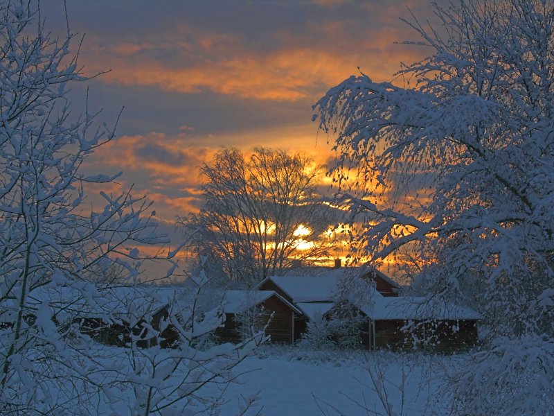 photo "Evening sky" tags: landscape, winter
