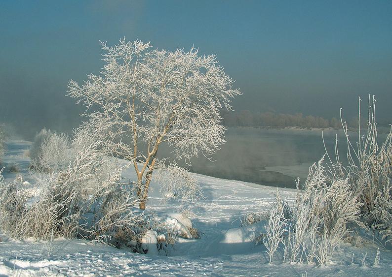 photo "Winter. A frost." tags: landscape, winter