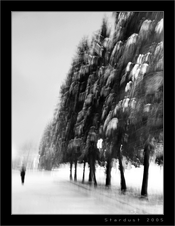 photo "A Morning Passer-By" tags: landscape, black&white, winter