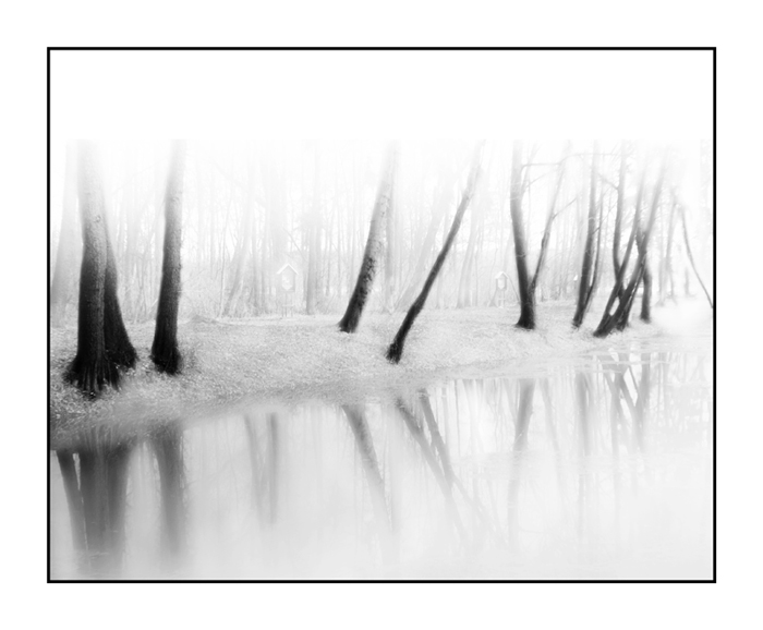 photo "memories" tags: black&white, landscape, winter