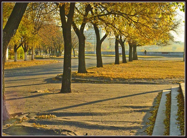 photo "The embankment of Amur.The morning" tags: landscape, autumn