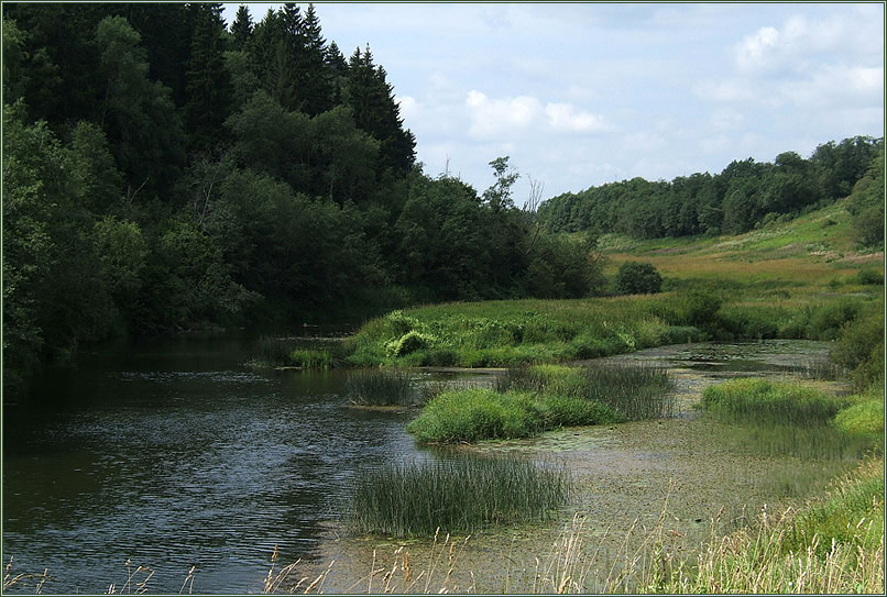 photo "***" tags: landscape, summer, water