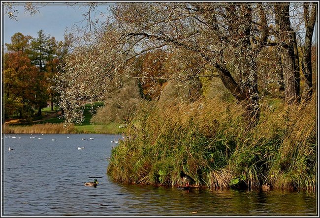 photo "*" tags: landscape, autumn, water