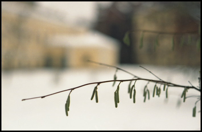 photo "Предзимье" tags: landscape, architecture, 