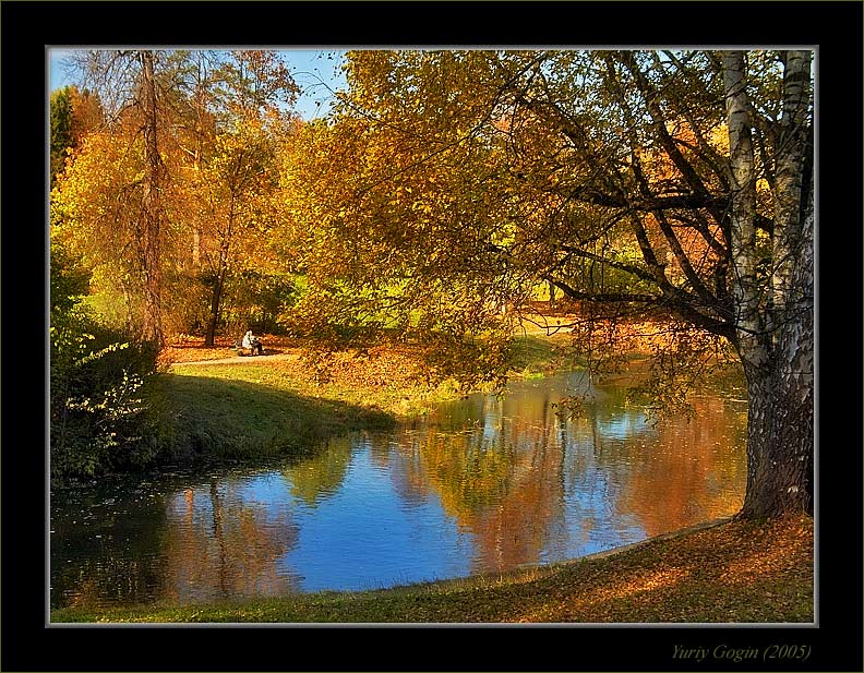photo "Warmly Autumn park #9" tags: landscape, autumn, forest