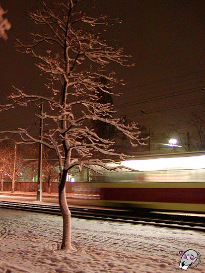 photo "***" tags: landscape, night, winter