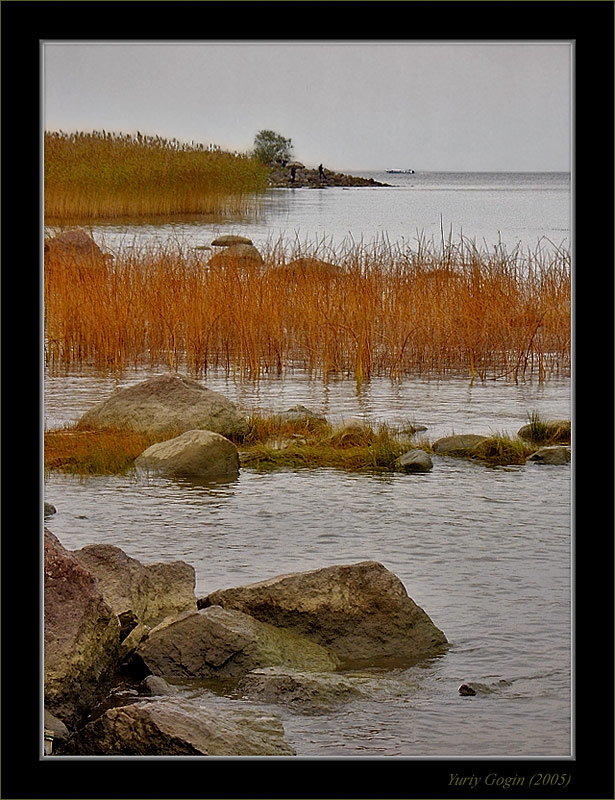 photo "Autumn gulf" tags: landscape, autumn, water