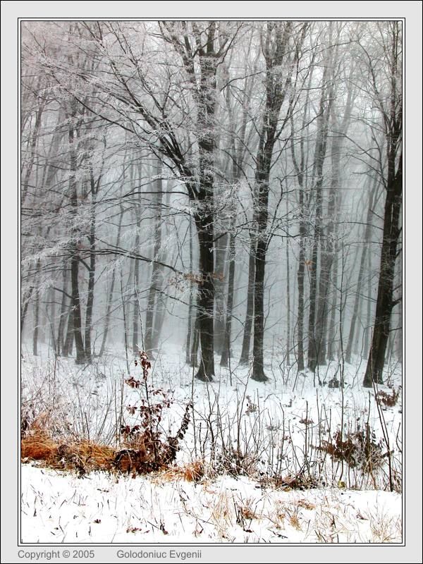 photo "***" tags: landscape, winter