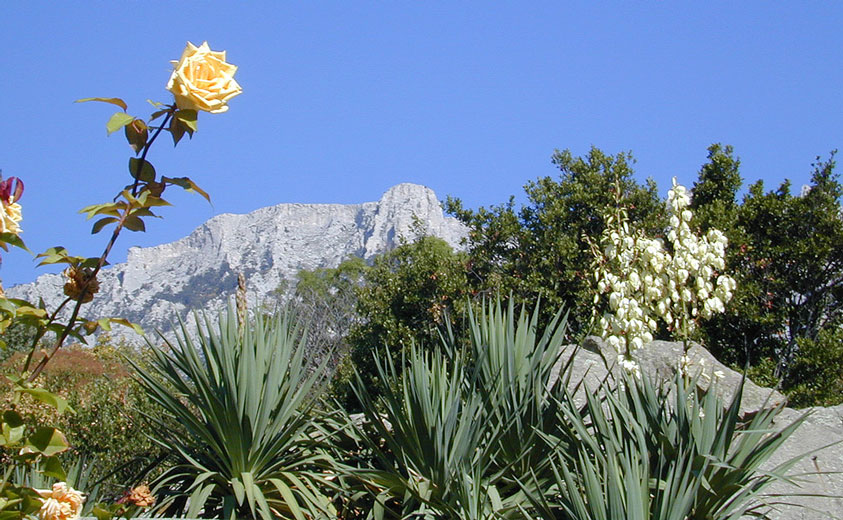 photo "The rose of Crimea" tags: landscape, 