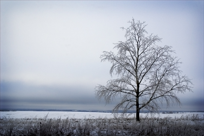 photo "all alone..." tags: landscape, nature, winter