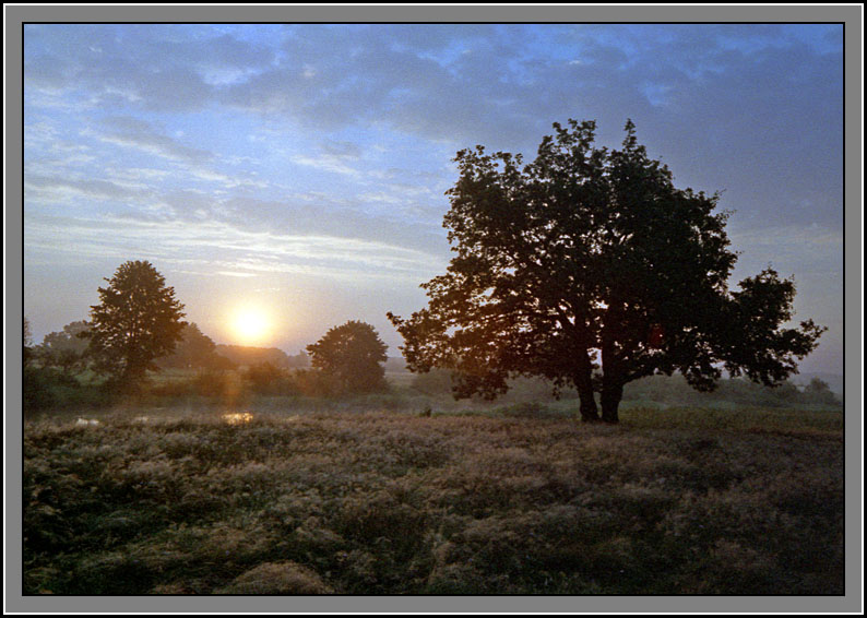 photo "Summer morning" tags: landscape, summer, sunset