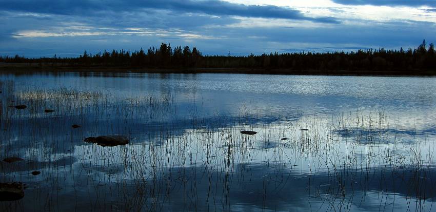 photo "Cold evening" tags: landscape, water