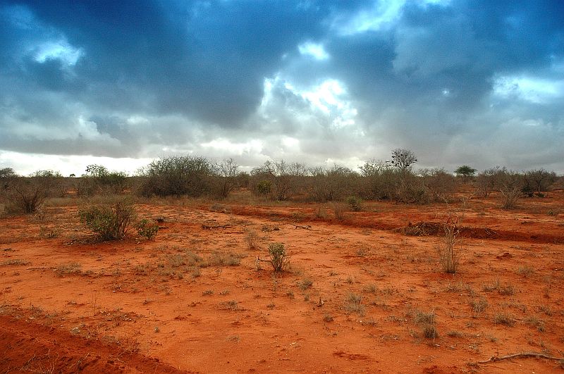 photo "Tsavo East vol.2" tags: travel, landscape, Africa