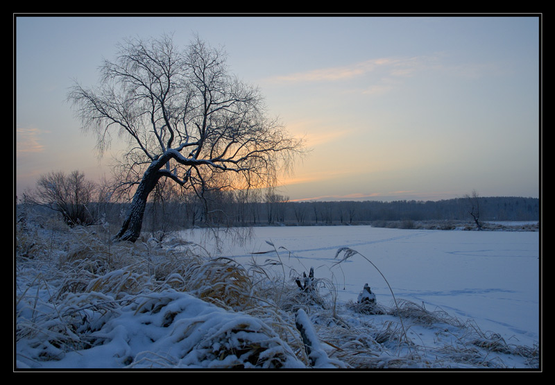 фото "December dawning" метки: пейзаж, закат, зима