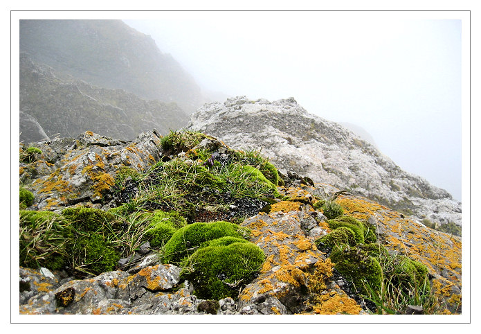 фото "high above" метки: пейзаж, путешествия, Европа, горы