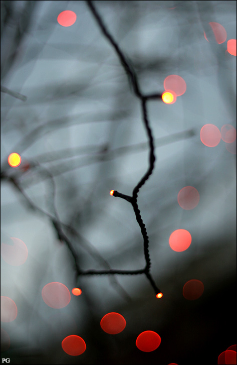 photo "Soon new Year" tags: abstract, misc., 