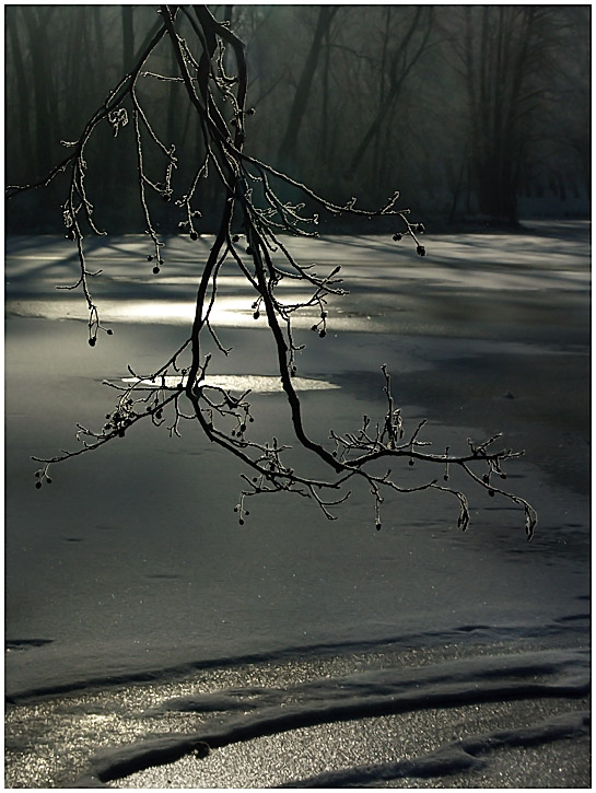 фото "Зимнее барокко" метки: пейзаж, зима